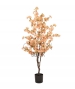 ALBERO DI CILIEGIO PESCA