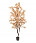 ALBERO DI CILIEGIO PESCA