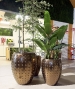VASO LAOS