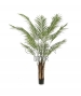 ARECA PALMA ARTIFICIALE