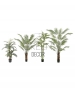 ARECA PALMA ARTIFICIALE