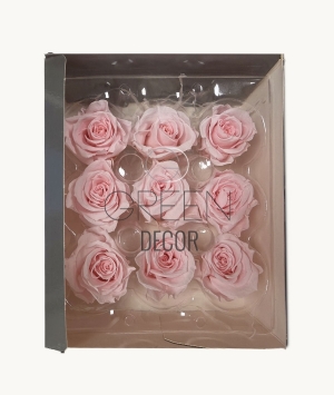 ROSE STABILIZZATE X 9