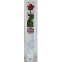 Rose stabilizzate amorosa con scatola