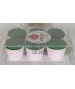 OASIS® Cupcakes