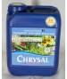 Chrysal Professional