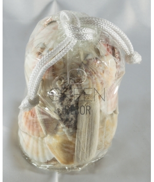 Shell Gift Bag