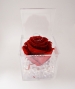 COMPOSIZIONE ROSA STABILIZZATA E SCATOLA PLEXIGLASS 8 CM