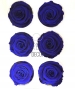 ROSE STABILIZZATE BLU X6