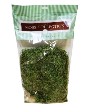 MOSS TILLANDSIA VERDE SCRURO GRANDE