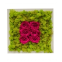 QUADRO VEGETALE CON ROSE STABILIZZATE