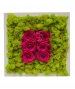 QUADRO VEGETALE CON ROSE STABILIZZATE