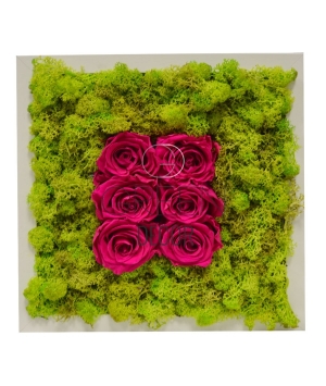 QUADRO VEGETALE CON ROSE STABILIZZATE