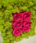 QUADRO VEGETALE CON ROSE STABILIZZATE