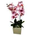 ORCHIDEA CON VASO CUBICO GRANDE