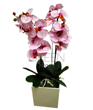 ORCHIDEA CON VASO CUBICO GRANDE