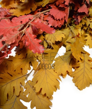 QUERCIA STABILIZZATA AUTUNNO