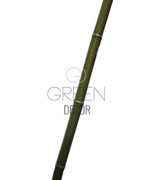 BAMBOO 200 CM