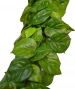 POTHOS IN TESSUTO CADENTE