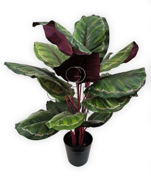 CALATHEA IN VASO ARTIFICIALE