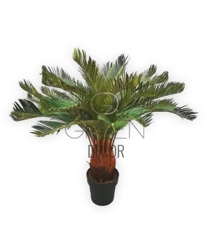 CYCAS ARTIFICIALE