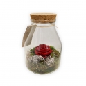 TERRARIUM CON ROSA STABILIZZATA ROSSA