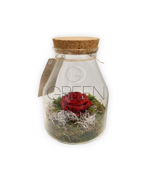 TERRARIUM CON ROSA STABILIZZATA ROSSA