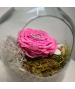 TERRARIUM CON ROSA STABILIZZATA FUXIA