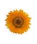 GIRASOLE STABILIZZATO