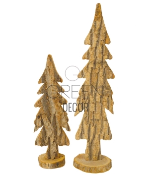 ALBERO CORTECCIA TREE MANCHURIAN