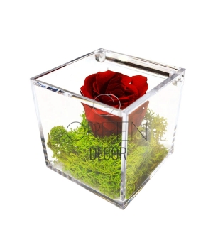 CUBO CON ROSA STABILIZZATA E MUSCHIO