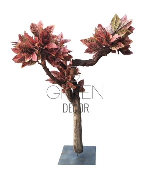 ALBERO PERSONALIZZATO CROTON