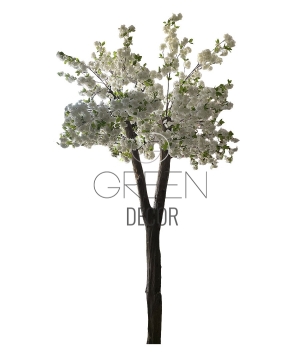 ALBERO PERSONALIZZATO PESCO GIAPPONESE