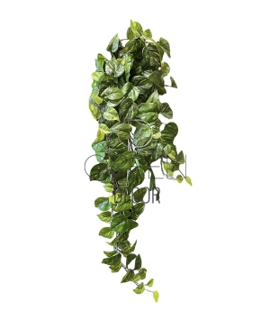 POTHOS ARTIFICIALE CADENTE