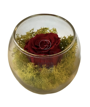 GLASS POT CON ROSA STABILIZZATA