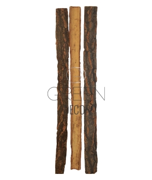 CORTECCE LEGNO TREESKIN NATURAL  5PZ