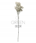 GYPSOPHILA ARTIFICIALE